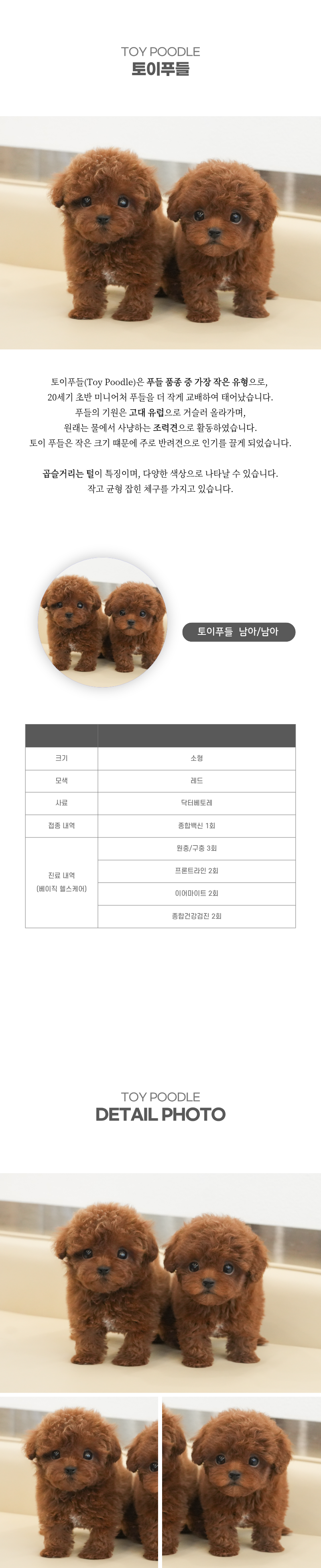 토이푸들_상세이미지_2